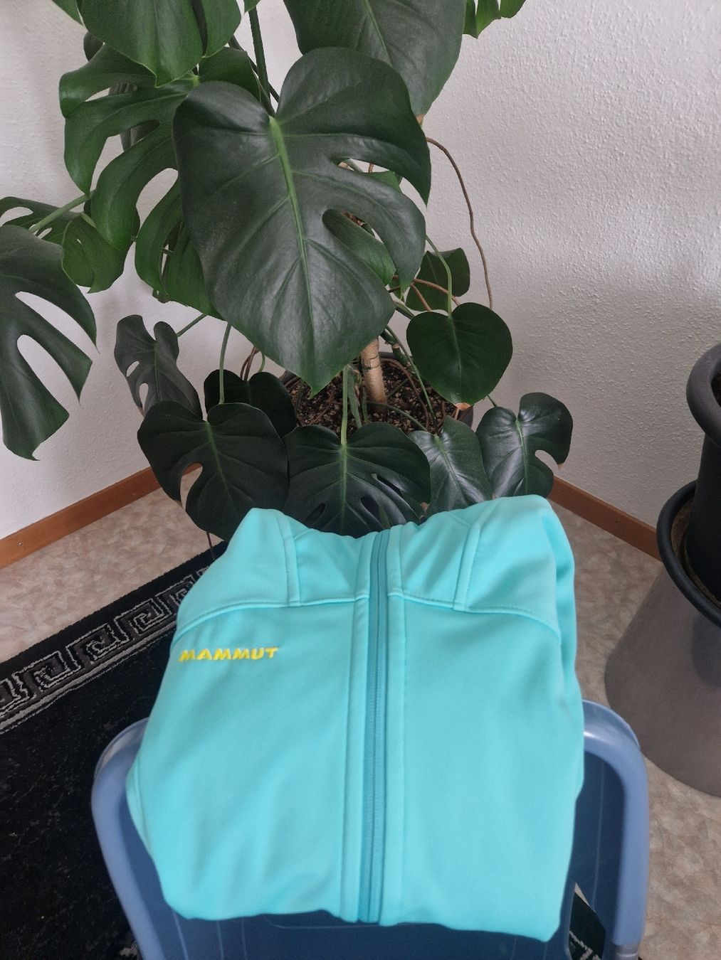 Mammut Giacche: Mammut Jacke – Nuovo (secondo la descrizione) da Triengen venduto da KittyKat6 5