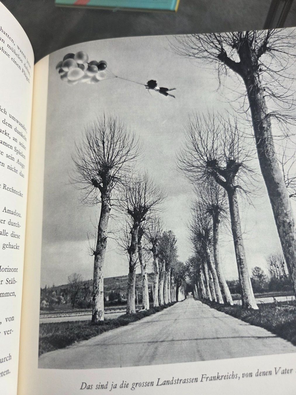 Libri: Ein Opinel – Usato da Münsingen venduto da Sokilein 1
