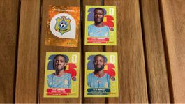 Panini Sammelkarten Fussball WM 2028 Fecofa