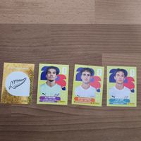 PANINI 2026
