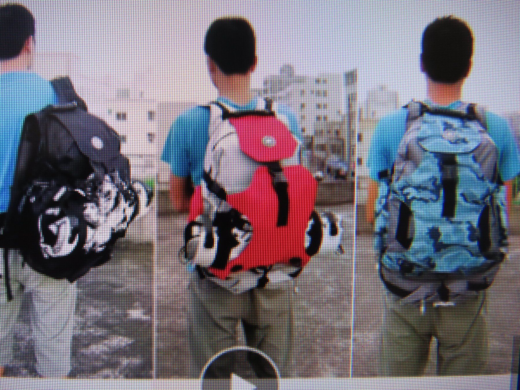 Zaini: Inline Skater Rucksack, Schlittschuh Tasche – Usato da Küttigen venduto da Rawlings 7