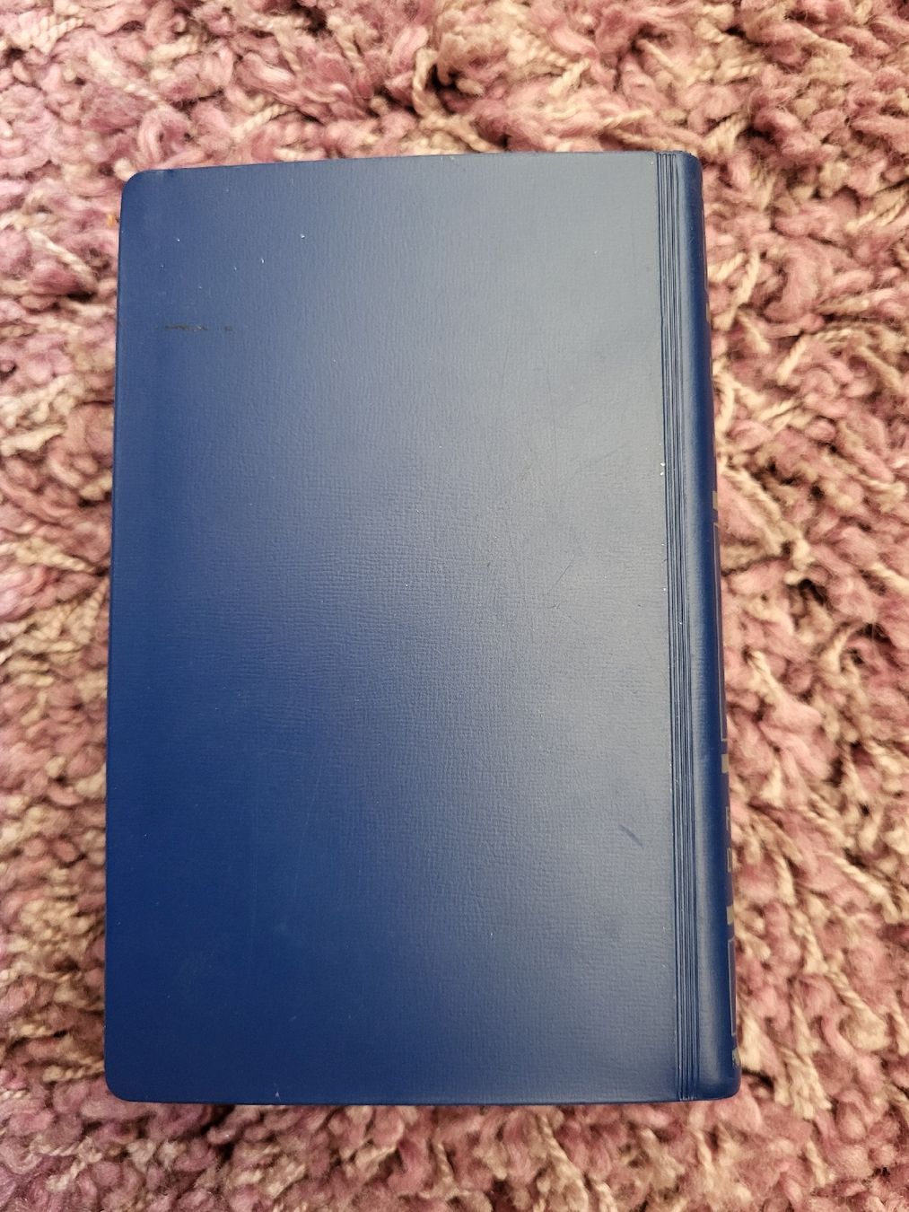 Libri: Langenscheidts Taschenwörterbuch – Usato da Zweisimmen venduto da Adorable 2