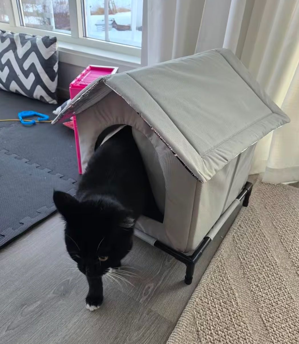 Liege- & Schlafplätze: Maison pour animaux – Neu und originalverpackt aus Bienne von Daniel_Schader 1
