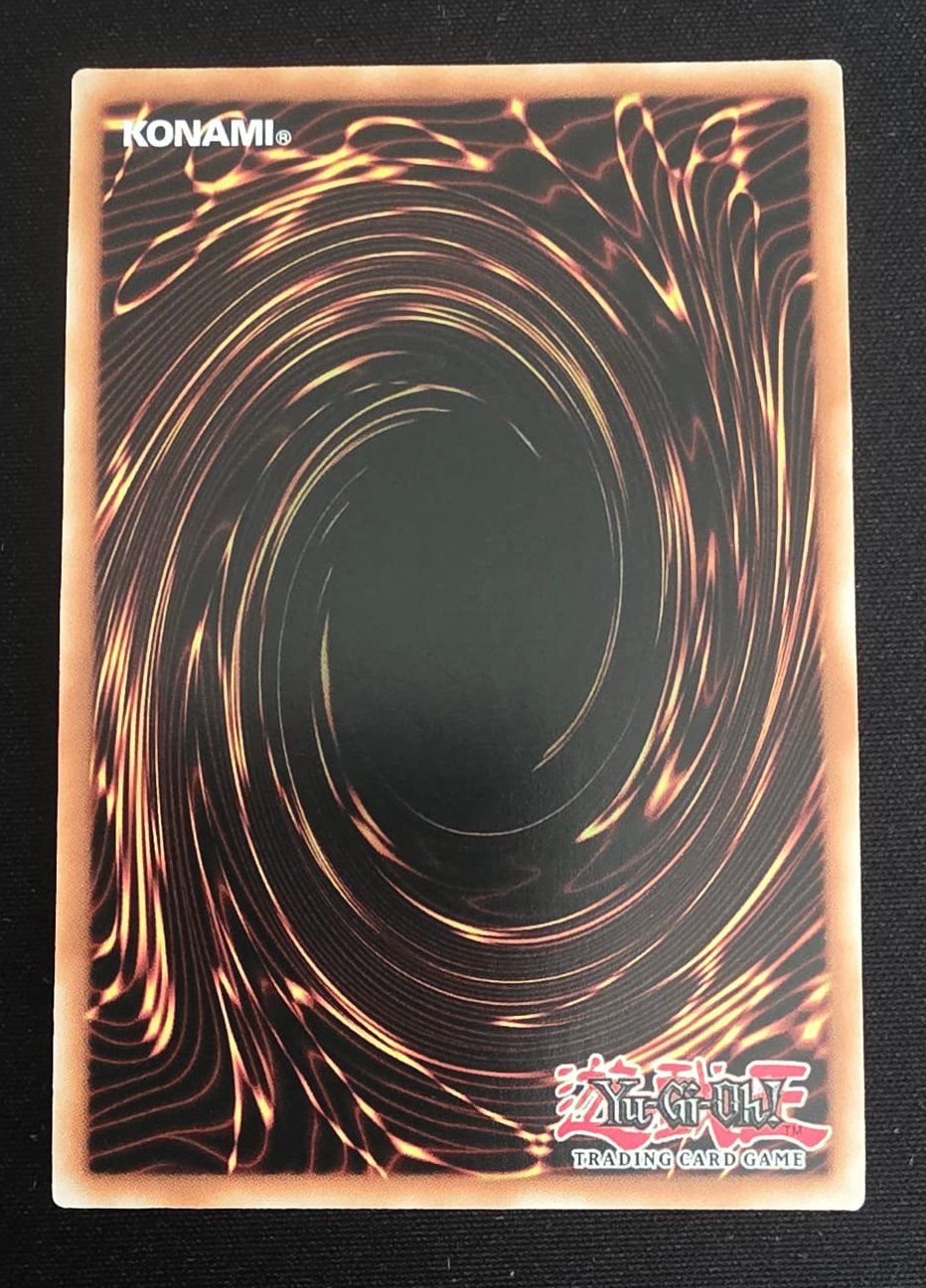 Yugioh Carte collezionabili: Firegrass - LOB-EN018 - Yu-Gi-Oh! TCG – Usato da Zürich venduto da Zetto 1