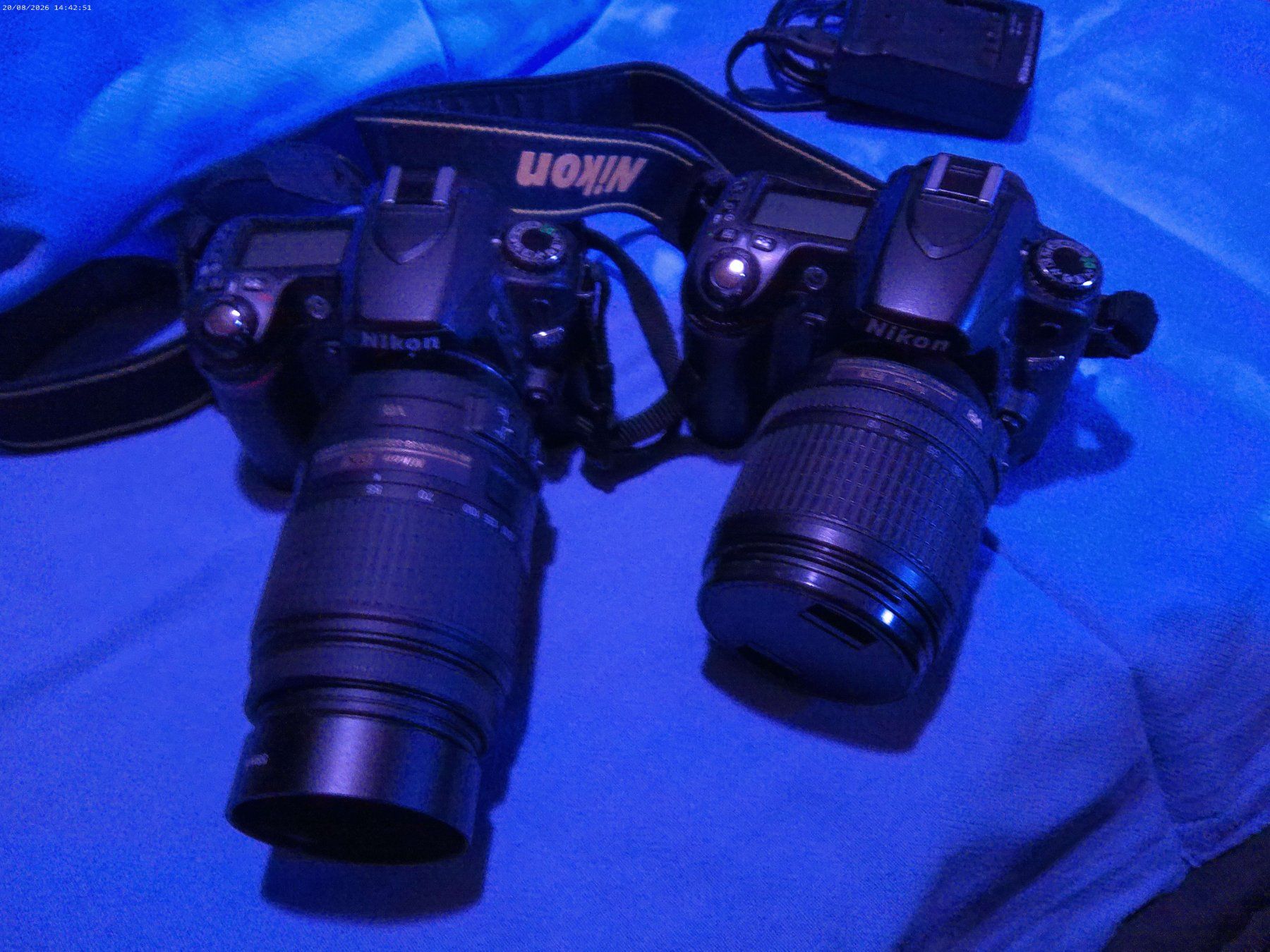 Nikon Kamera: 2 x Nikon D80 mit Objektiven – Defekt aus Kleinlützel von tomfundus
