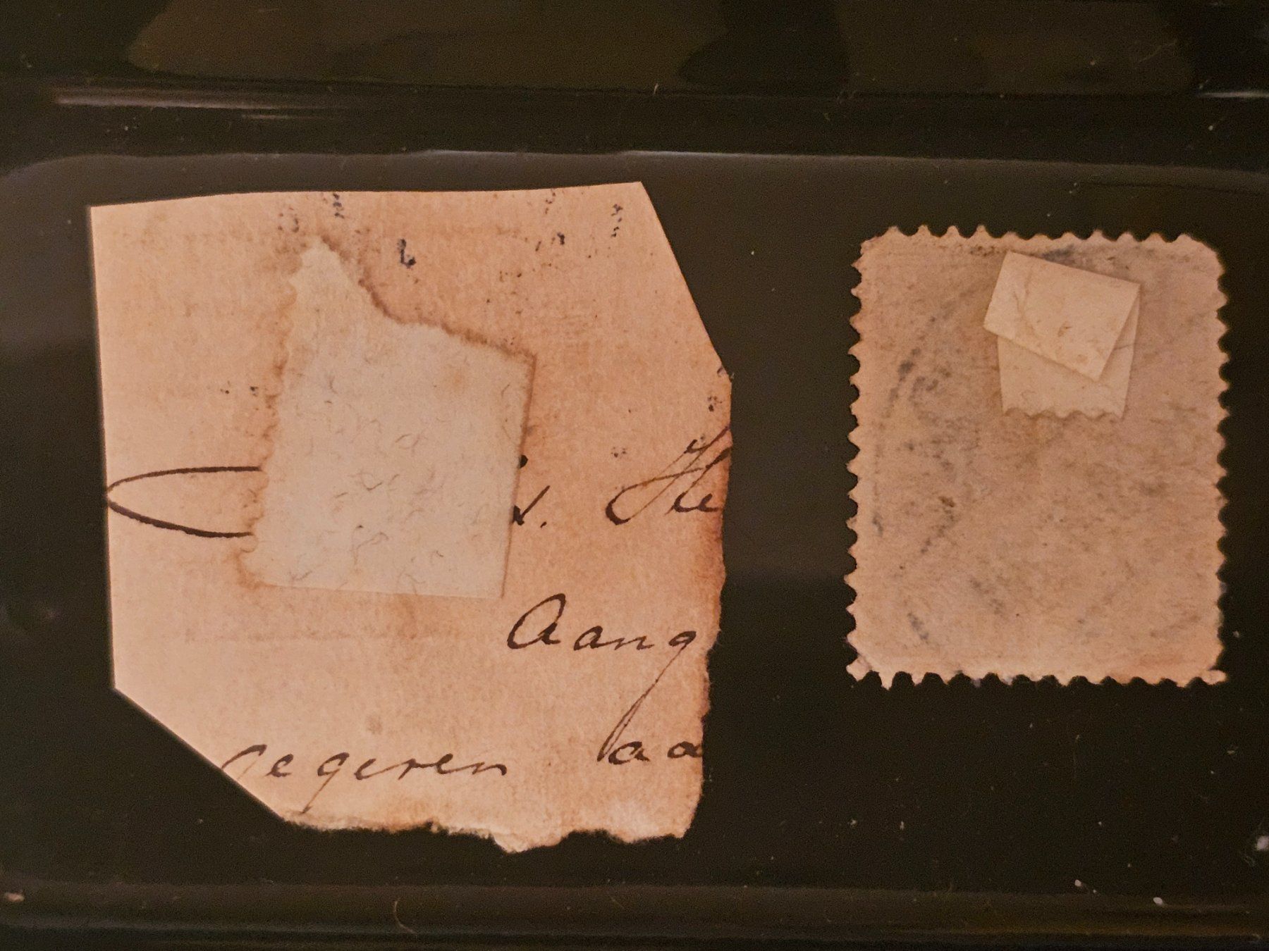 Tous les timbres: RARO  Francobollo olandese da 5 centesimi del 1899 – D'occasion à Monte Carasso par giave 1