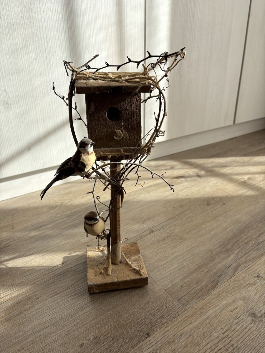 Tutte le decorazioni: Décoration : nichoir et oiseaux décoratifs – Usato da Zweisimmen venduto da Domii