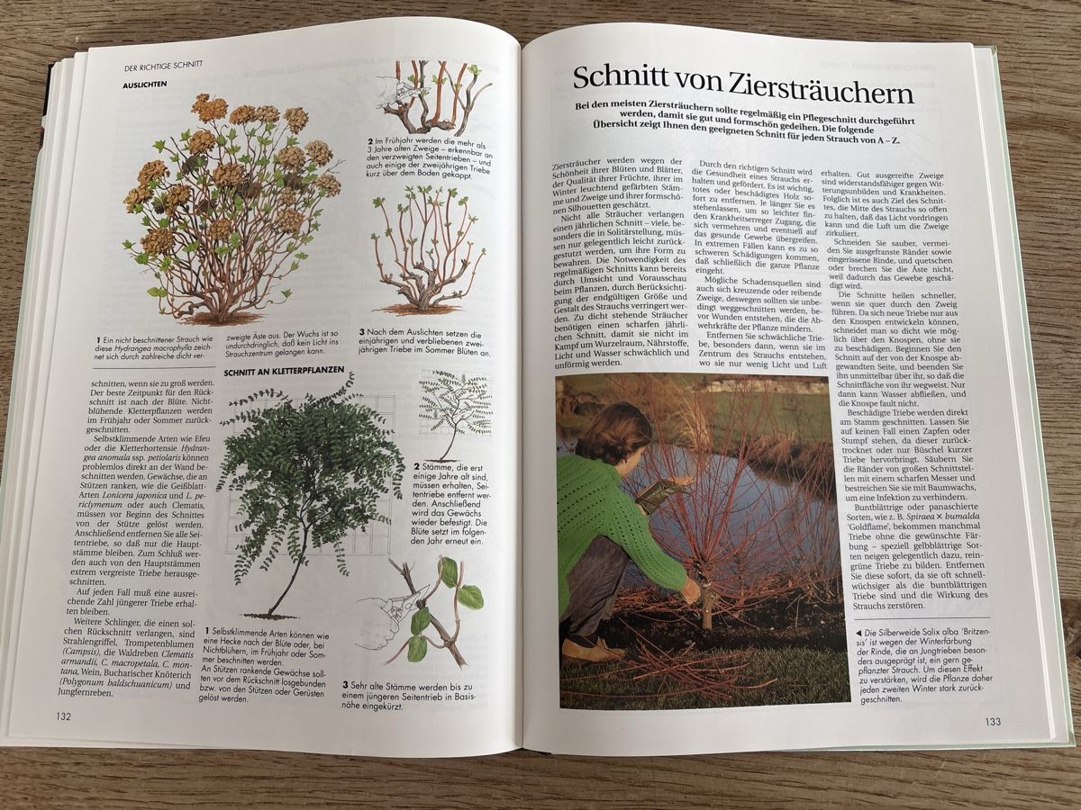 Livres: Gartenarbeit leichtgemacht – D'occasion à Schlierbach par Stee09 5