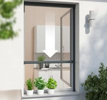 WINDHAGER Insektenschutz Rollo Fenster 100x160