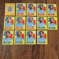 Panini Sammelkarten Kongo 2026 14 Stk. guter Zustand.