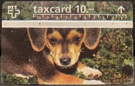 Taxcard 606D