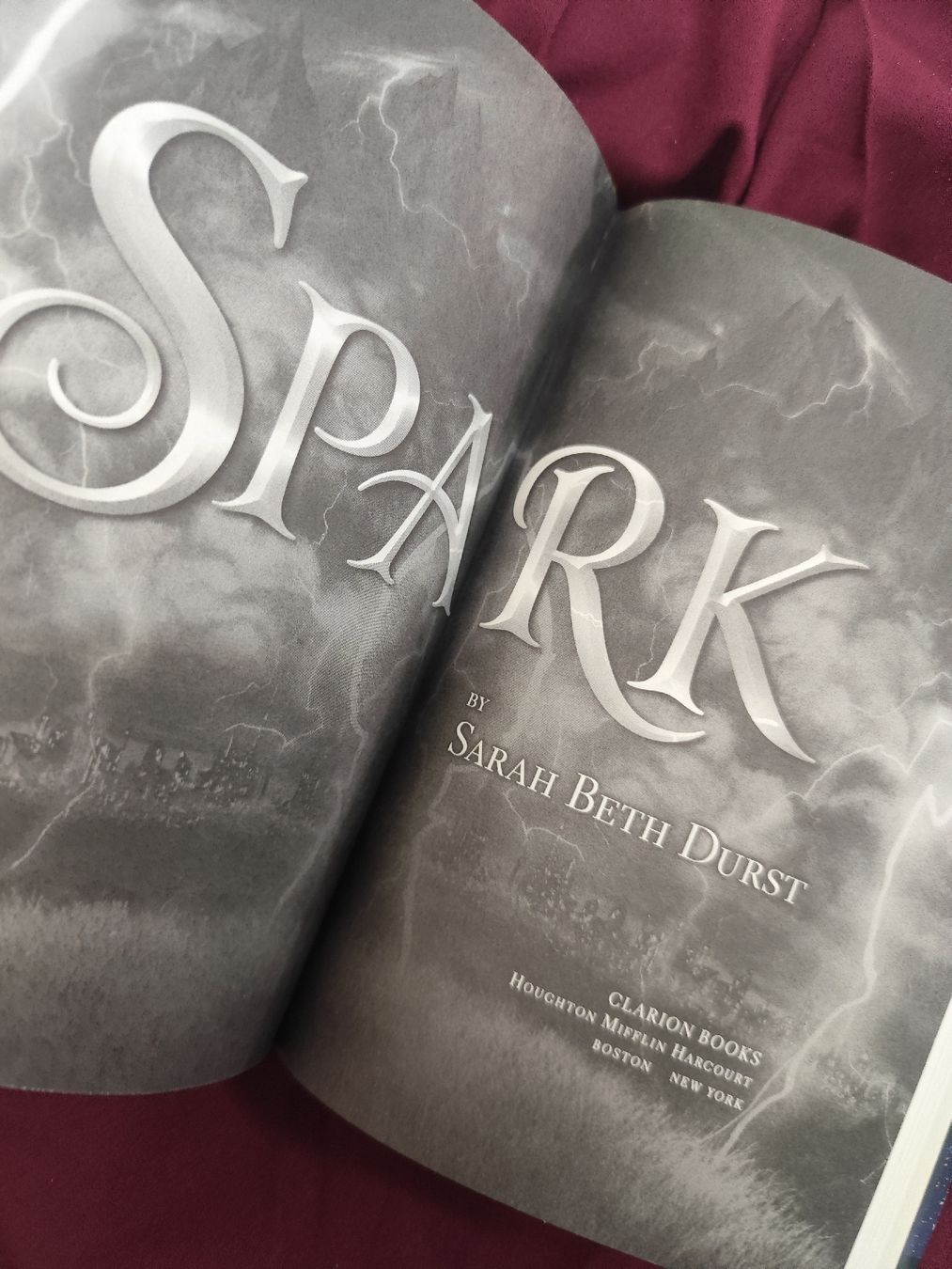 Libri: Spark by Sarah Beth Durst Childrens Novel – Usato da Mägenwil venduto da VintageGirly 6