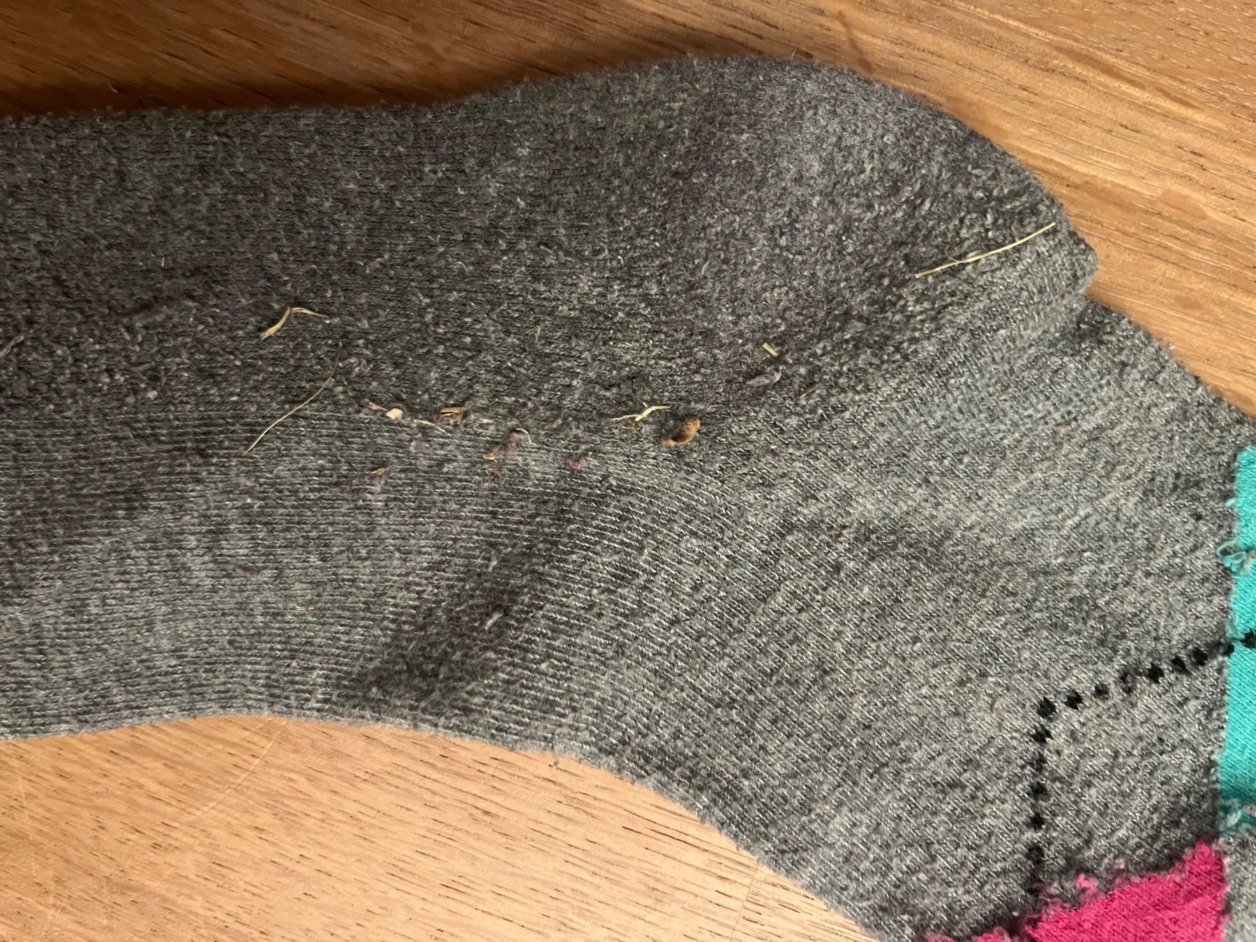 Calze: Reitsocken – Usato da Laupen BE venduto da lee_ym6v 4
