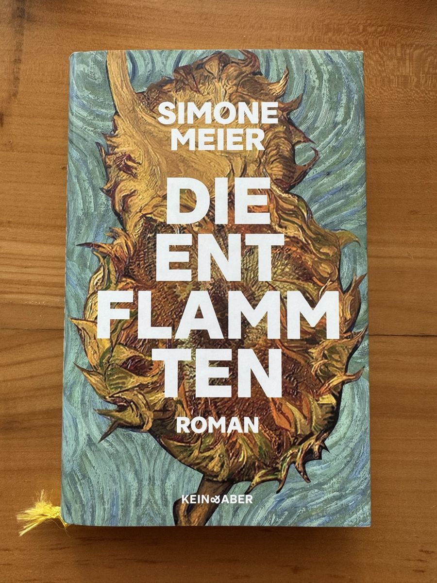 Livres: Simone Meier Die Entflammten Roman – D'occasion à Zürich par mind_creating