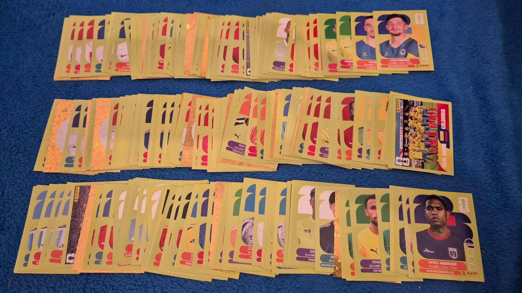 Panini Carte collezionabili: 234× Paninis 2026 mit vielen Wappen dabei – Usato da Uznach venduto da DeNois
