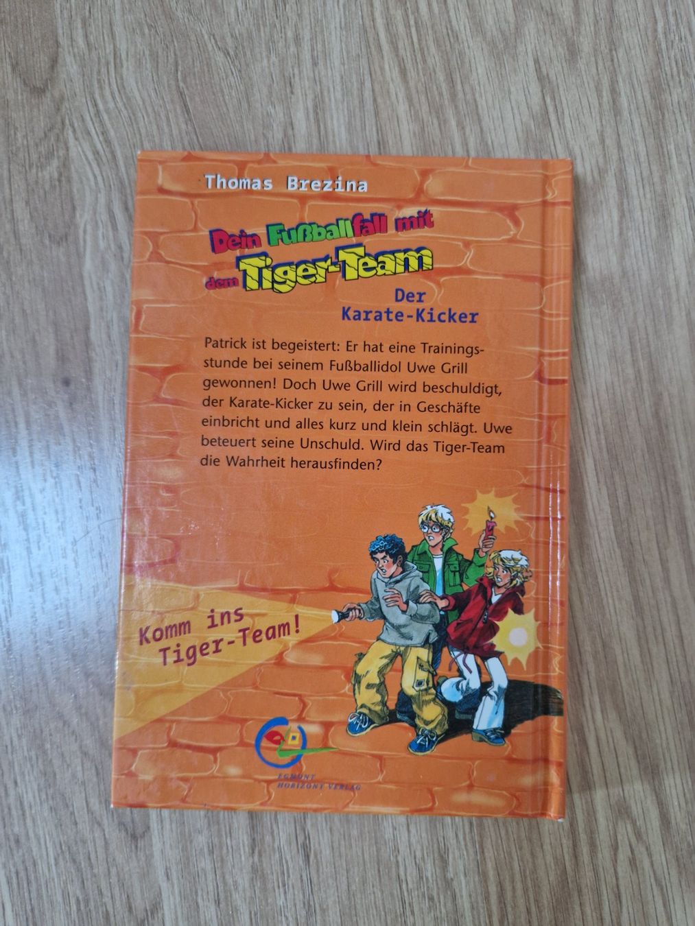 Libri: Buch Dein Fussballfall mit dem Tiger-Team – Usato da Giswil venduto da movo08 1
