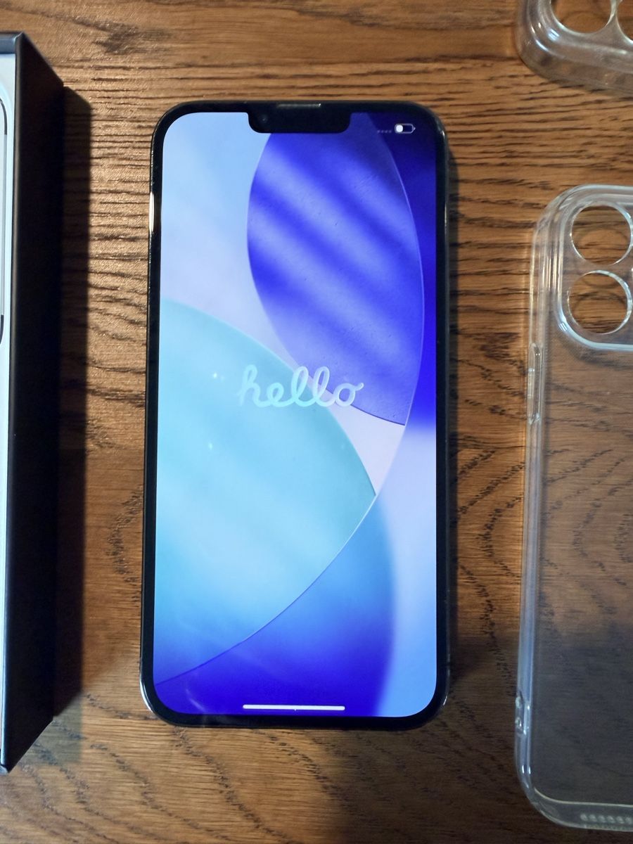 Apple Telefoni cellulari / Smartphones: iPhone 13 Pro Max 1TB – Usato da Schlieren venduto da san_f8dz 1
