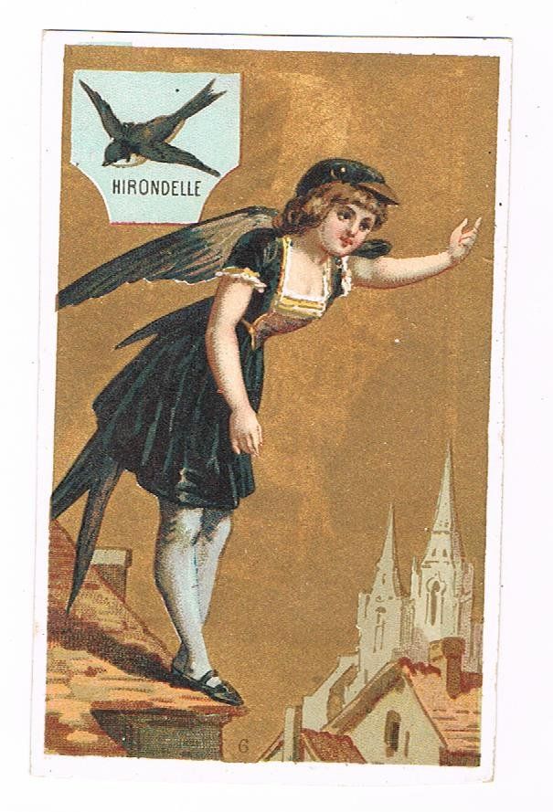 Cartoline postali: Cartes - Chromo – Usato da Genève venduto da edelweiss1900 4
