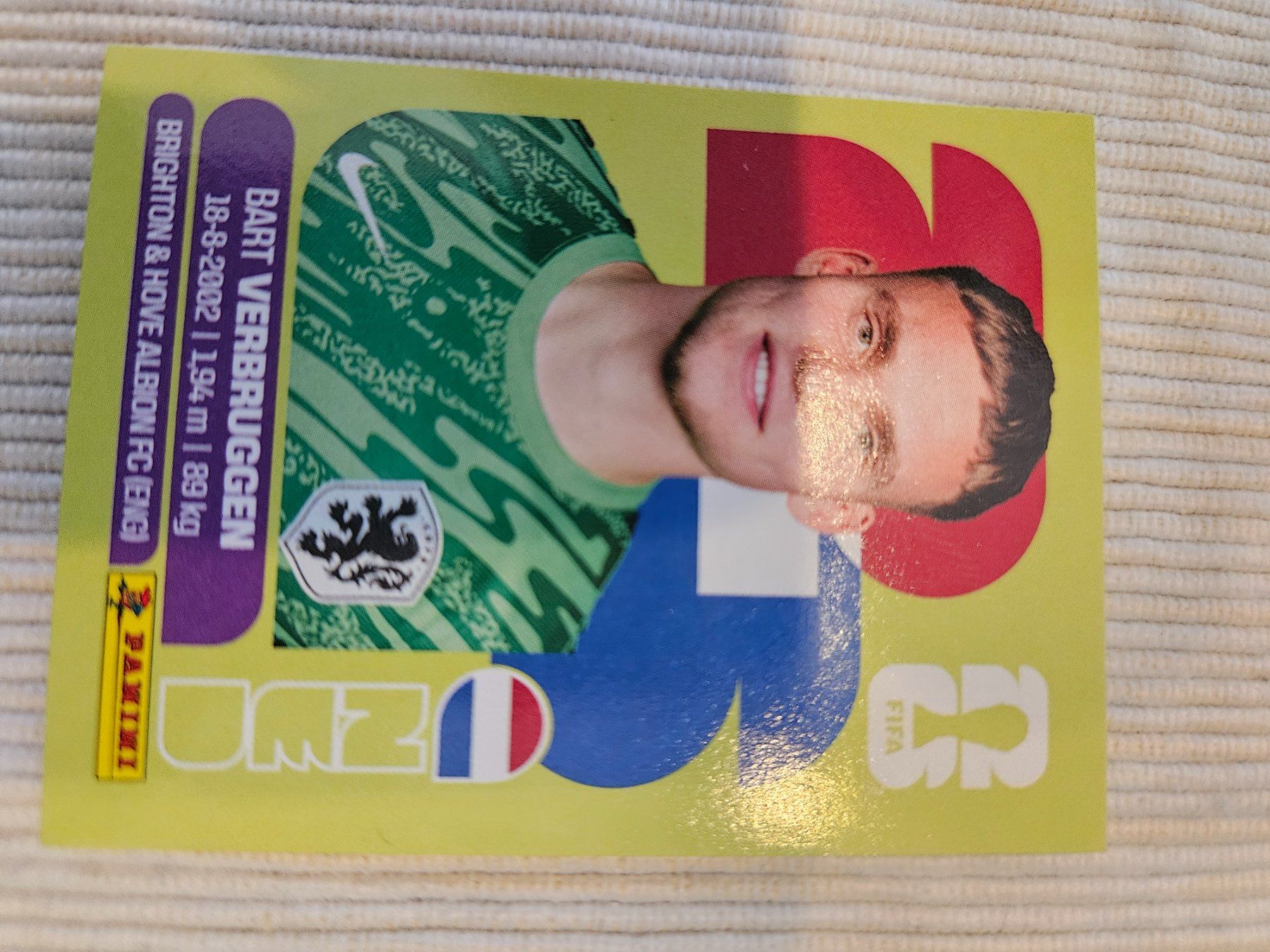 Panini Carte collezionabili: Ned2 – Usato da Würenlingen venduto da Dinli