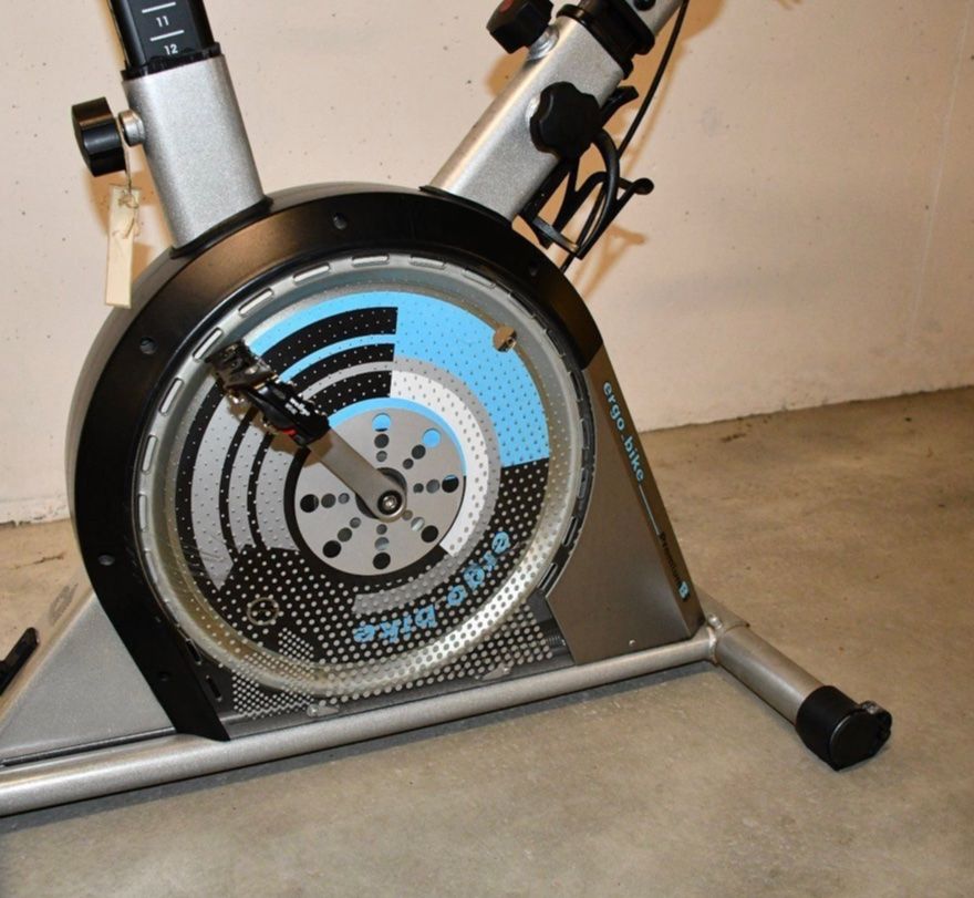 Hometrainer: Daum ergo-bike Premium – Usato da Kriens venduto da saleworld 3