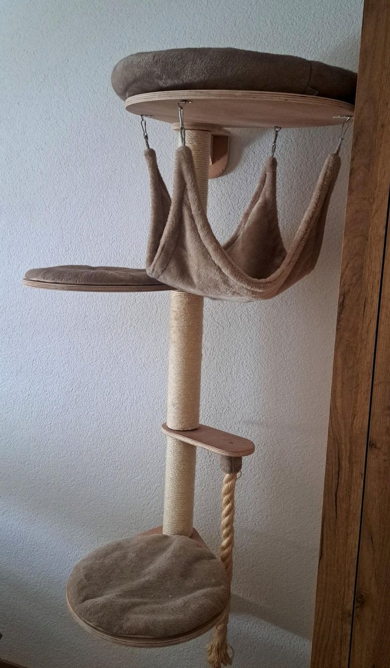 Katzenbaum - Kratzbaum: Wandkratzbaum / Cat Scratching Post for Wall Mounting – Gebraucht aus Zürich von zie_ngg8 2
