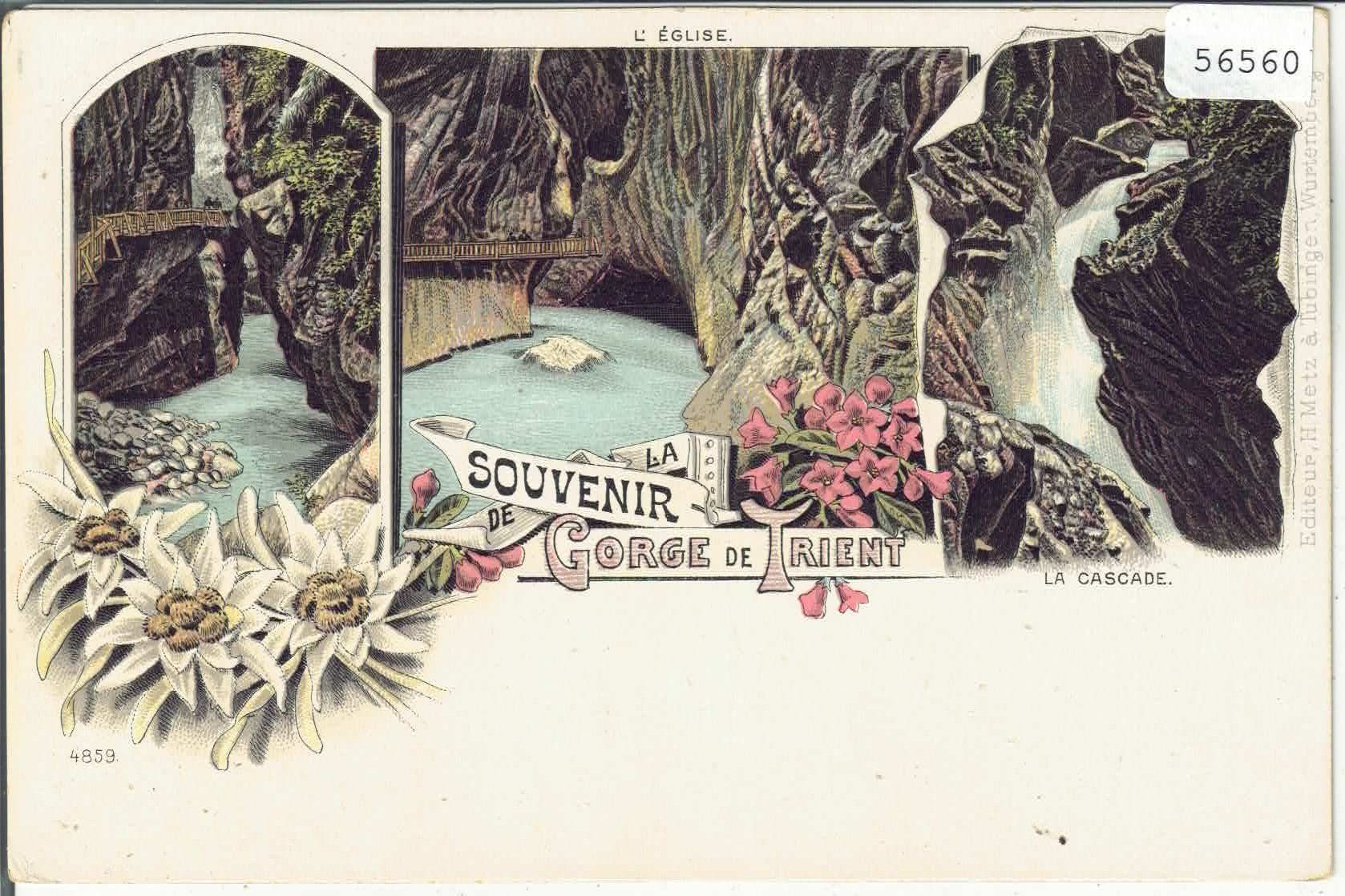 Ansichtskarten: Souvenir de la Gorge de Trient - La Cascade - Litho – Gebraucht aus Ettingen von Kartenplanet