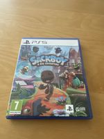 Sackboy Playstation 5