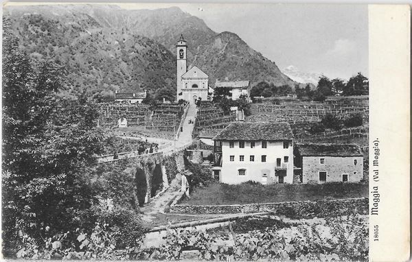 Cartoline postali: Maggia Teilansicht – Usato da Olten venduto da clotaldi