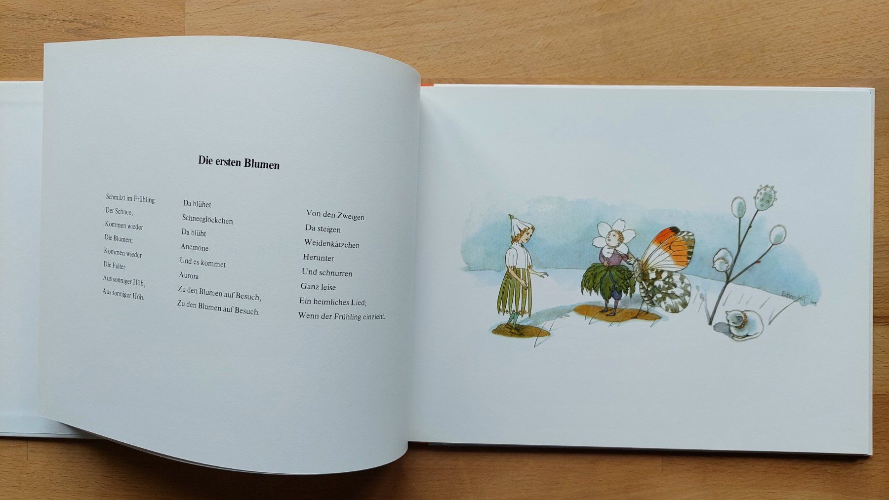 Libri: Blumenmärchen von Ernst Kreidolf – Nuovo (secondo la descrizione) da Obfelden venduto da Foto_Bild_Kunst_Buch 2