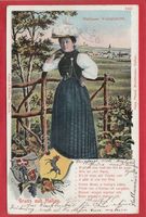 HALLAU, TRACHT, WAPPEN, 1910