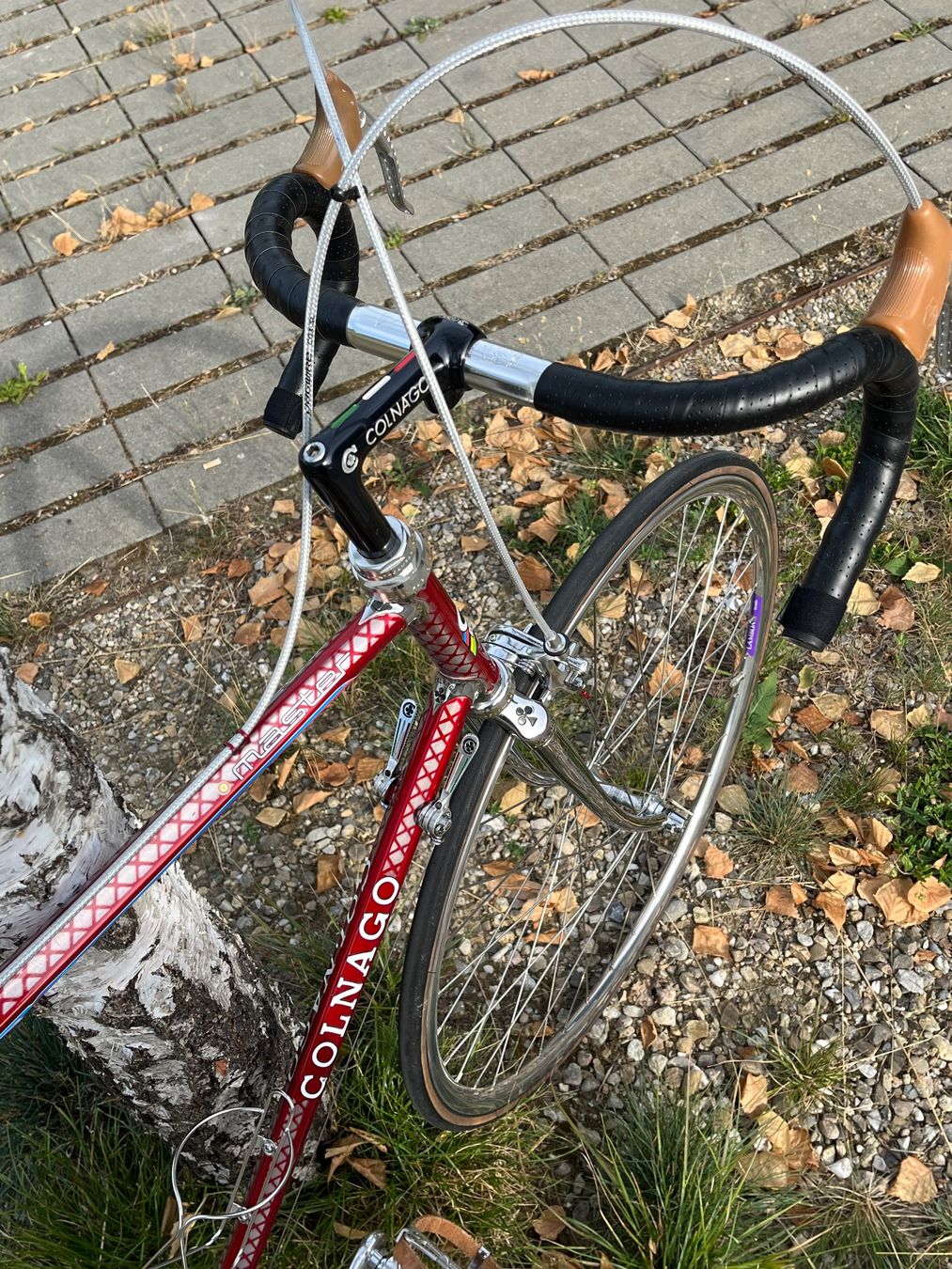 Colnago Velos: Colnago Master Del Tongo mit Campagnolo C Record – Gebraucht aus Luzern von TilaShe 2