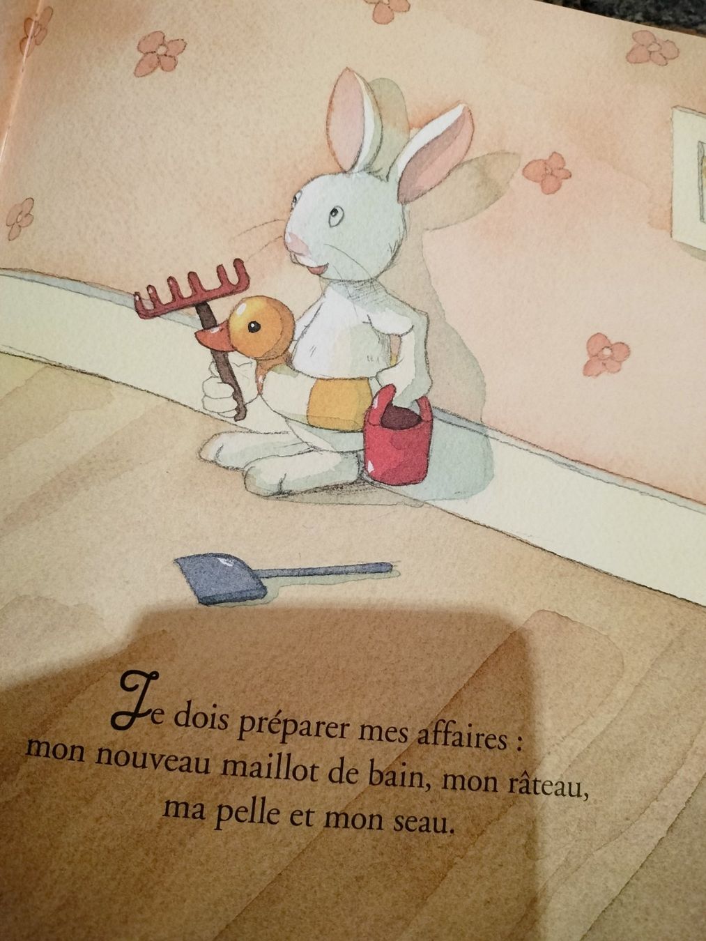 Libri: La belle histoire de mes 2 ans Fleurus – Usato da Cortaillod venduto da rozinna 2