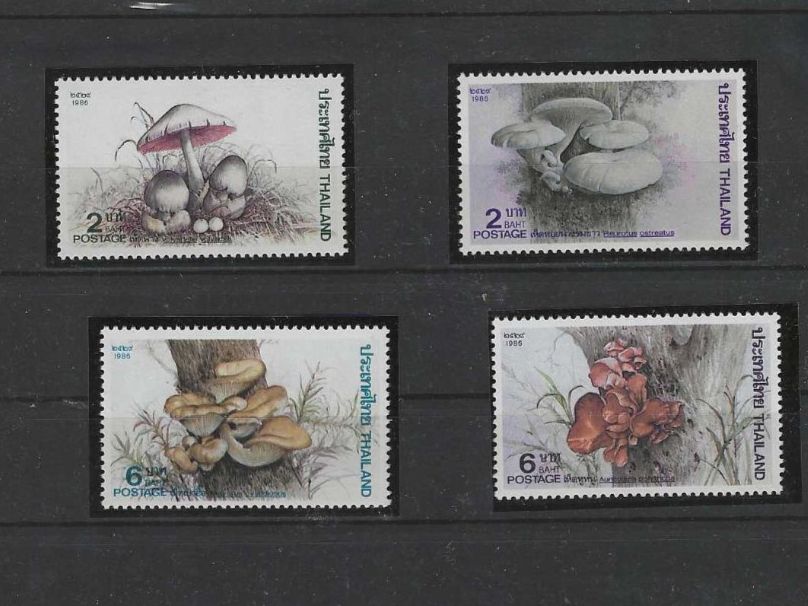 Tutti i francobolli: THAILAND 1989 ** PILZE – Nuovo (secondo la descrizione) da Dintikon venduto da bonita099