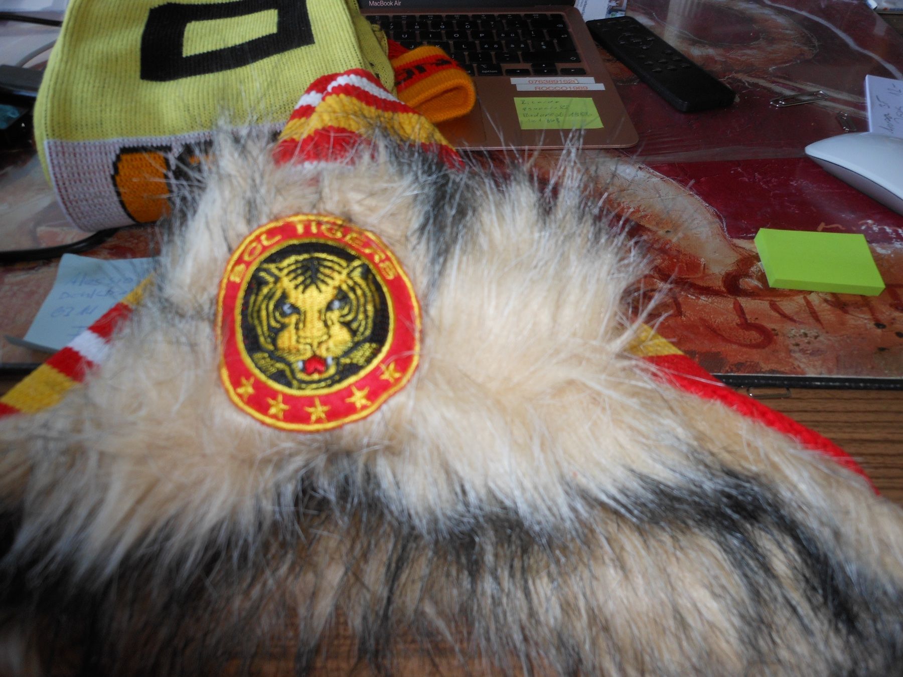 Sonstige Kleidung & Accessoires: SCL Tigers Kappe – Gebraucht aus Dübendorf von Glatttaltiger