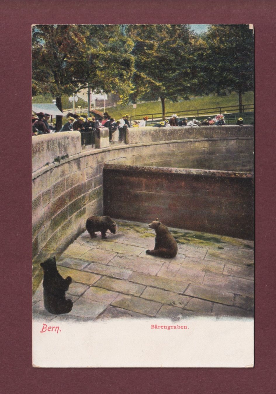 Cartoline postali: BERN - Bärengraben – Usato da Pully venduto da nicecards