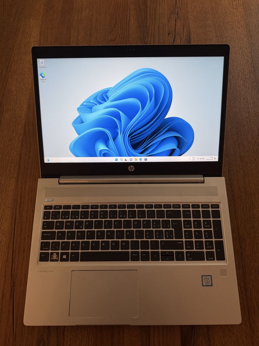 Hewlett Packard Notebook: Notebook - HP ProBook 450 G6 - Ab 1 Fr..! – Usato da Zürich venduto da ersel
