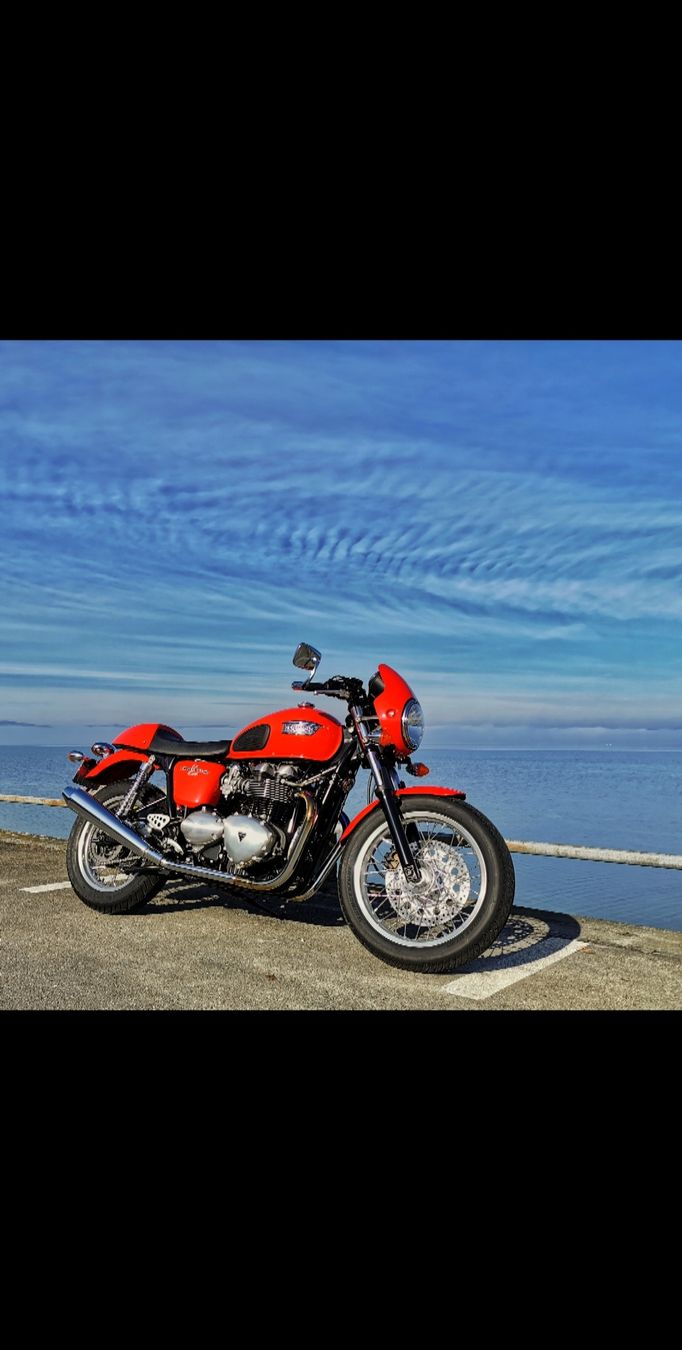 Triumph Altro: Triumph Thruxton 900 – Usato da Winterthur venduto da brdmnky 1