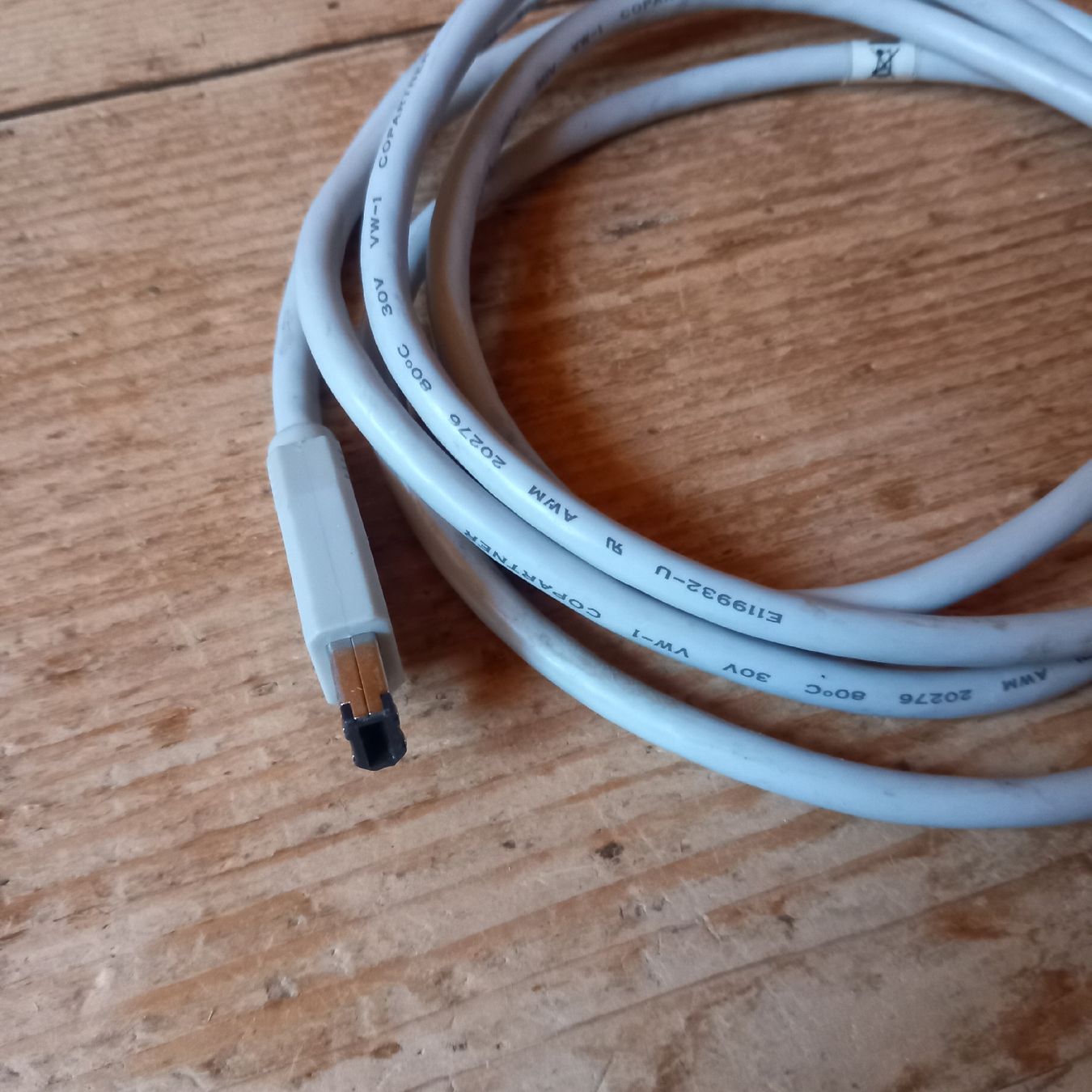 Kabel: FireWire Kabel – Gebraucht aus Ebnat-Kappel von blazzi 1