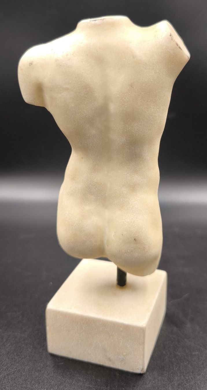 Skulpturen & Statuen: Männertorso – Gebraucht aus Rorschacherberg von snOOpydOg11 7