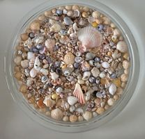 Kristallglasschale mit Muscheln