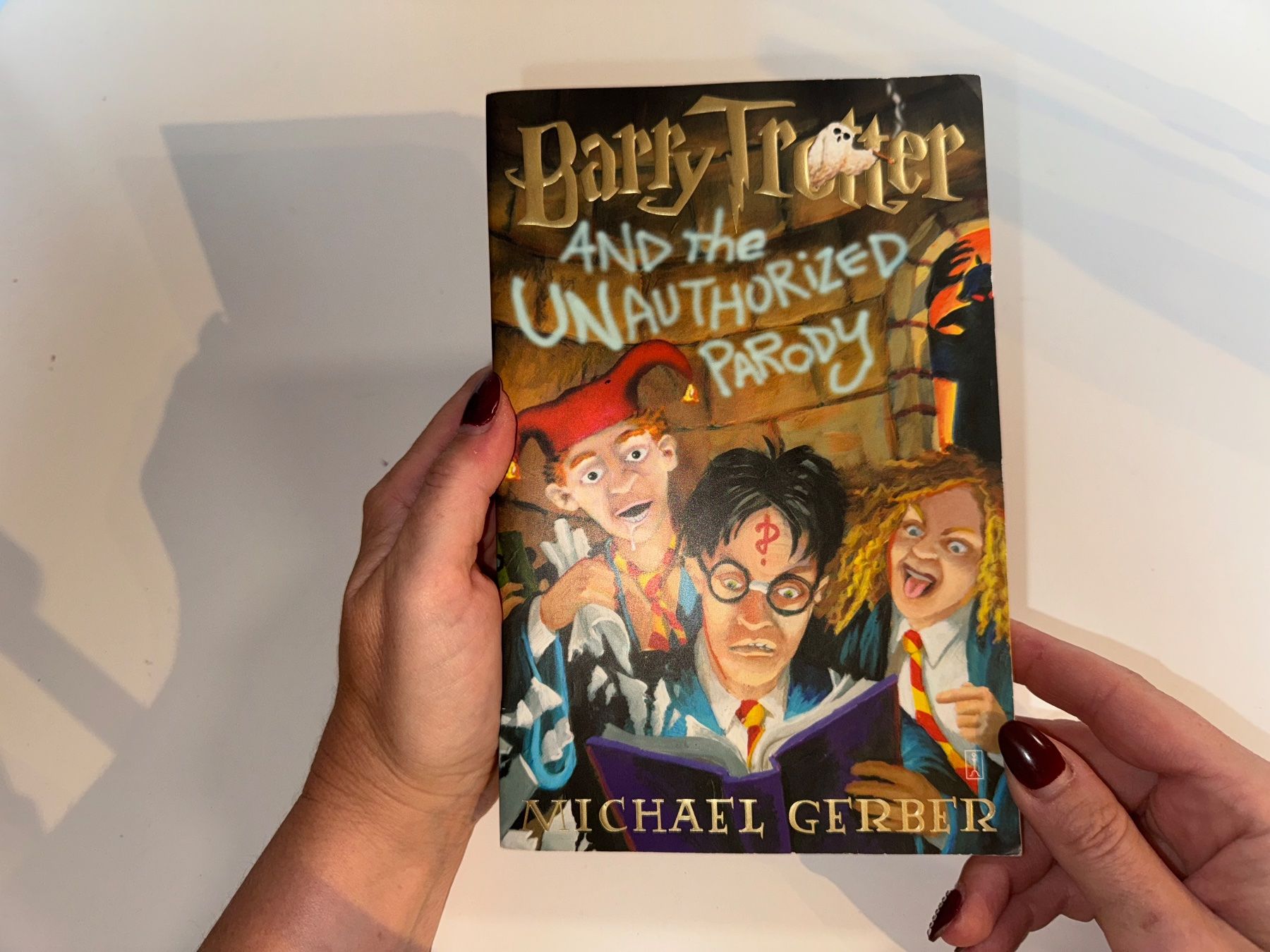 Bücher: NOVEL: Michael Gerber, Barry Trotter and the anautorized .. – Gebraucht aus Grosswangen von English_books