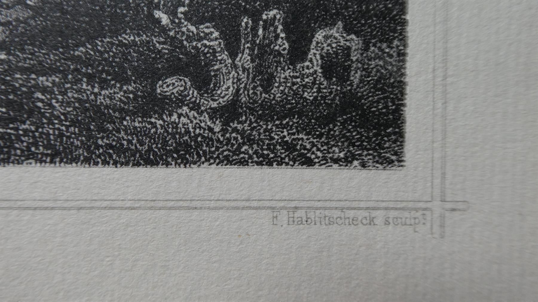 Foto & Immagini: Ansicht Stich Solothurn Rohbock – Usato da Frauenfeld venduto da Astra13 5