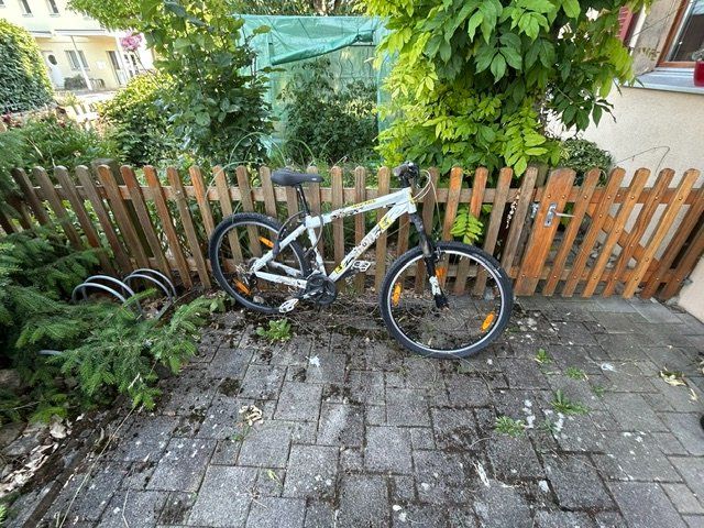 Scott Biciclette: Jugendfahrrad Scott – Difettoso da Schmitten FR venduto da Ogeli 1