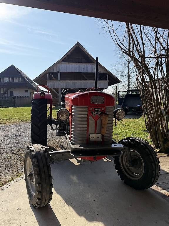 Massey Ferguson Trattori: Massey Ferguson 65 – Usato da Grafenried venduto da bet_j2pm 3