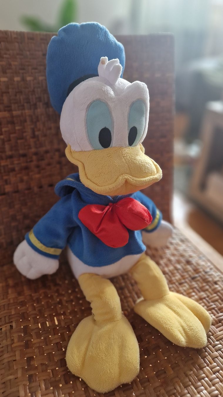 Disney Spielzeuge: Donald Duck Plüschtier Matrose – Gebraucht aus Möhlin von Lyhme94 1
