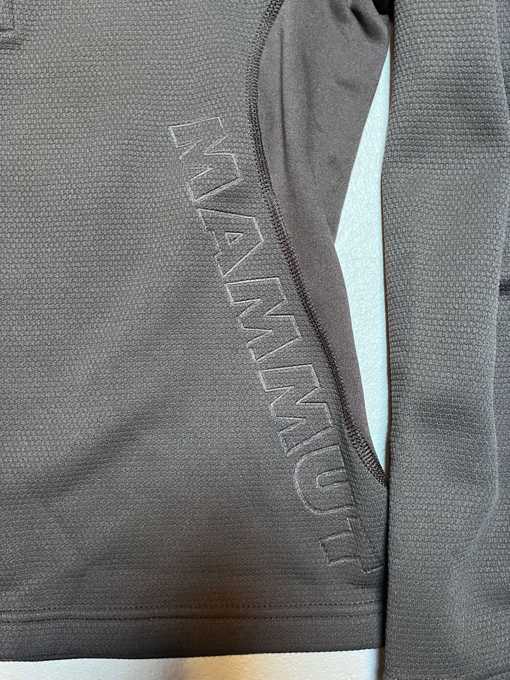 Mammut Maglioni & Felpe: Kapuzenpullover Mammut Grösse S – Usato da Roggwil BE venduto da KarotteV 2