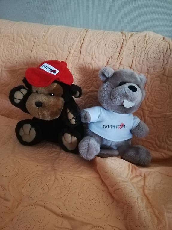 Jouets: Peluches  – Neuf avec emballage d'origine à La Sagne VD par bri_d6b5 1