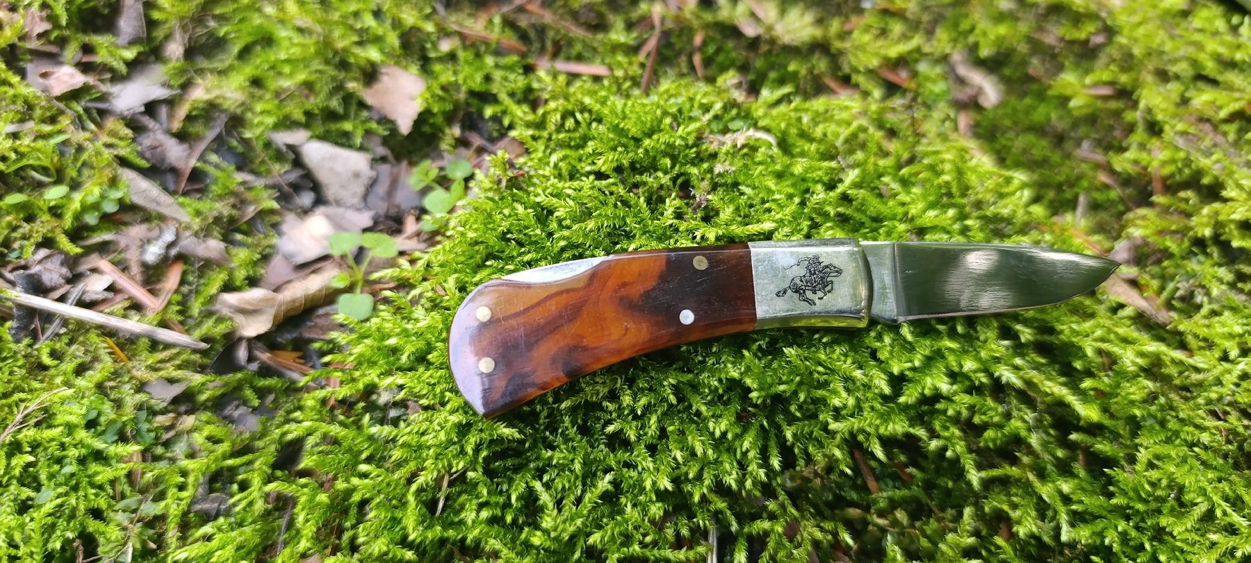 Winchester Taschenmesser: Winchester Taschenmesser  – Neu und originalverpackt aus Oppligen von can_rf8g 5