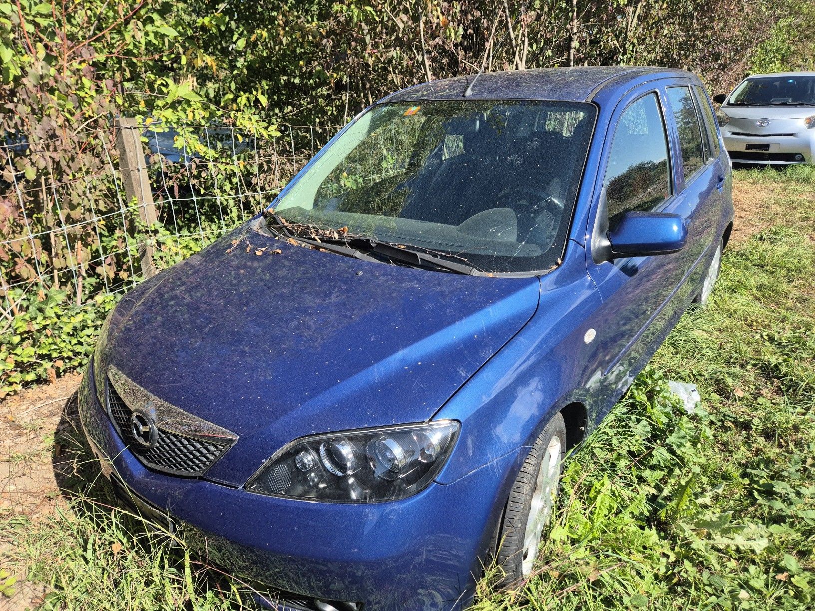 Mazda Autos: mazda2 mit mfk – Gebraucht aus Winterthur von ama_6wzm