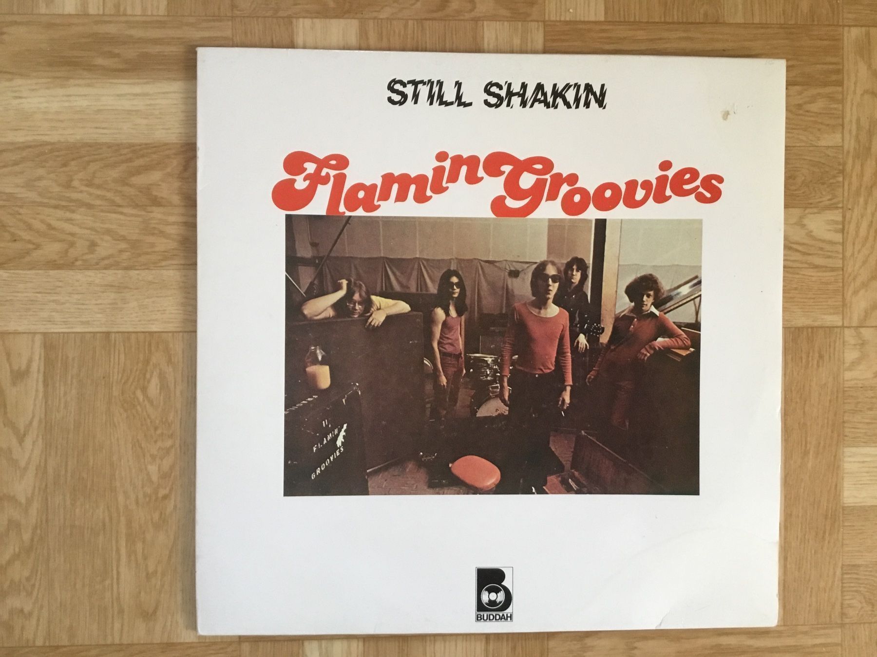 Schallplatten: Flaming Groovies / Still shakin – Gebraucht aus Kreuzlingen von Schuggerman
